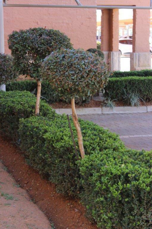 Reliwave Pty Ltd Apartment Bloemfontein Exterior photo